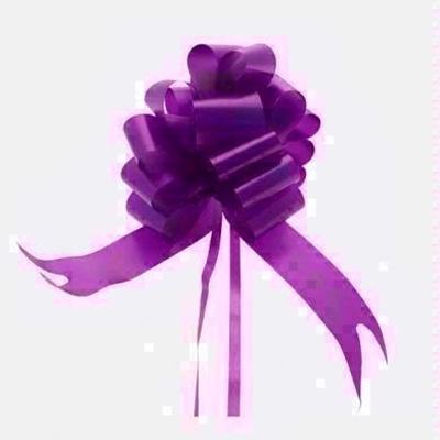 APAC-PULL-BOW-50MM-PURPLE-PK20_APAC_PULL_BOW_50MM_PURPLE_PK20_.jpeg