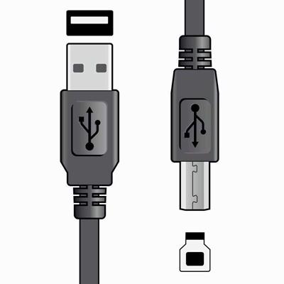 AVSL-USB-2-0-LEAD-A-B-1-5M-113004_AVSL_USB_2.0_LEAD_A-B_1.5M_113004_.jpeg