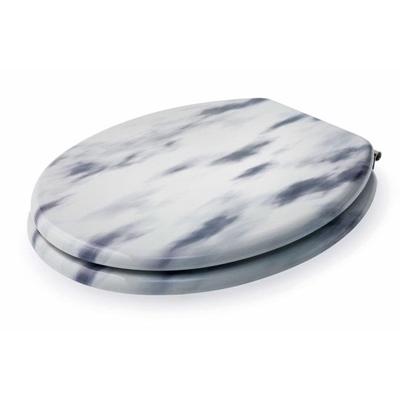 BLUE-CANYON-TOILET-SEAT-MARBLE-EFFECT_BLUE_CANYON_TOILET_SEAT_MARBLE_EFFECT_.jpeg