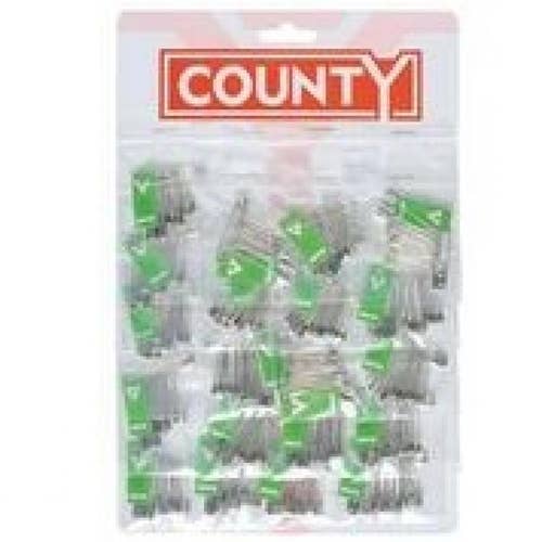 County_Safety_Pins_1x20s_Single.jpeg