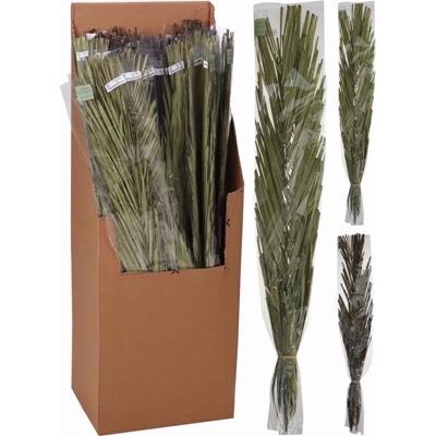 DECO-KHAJUR-LEAVES-100CM-CLEAR-ASSTD_DECO_KHAJUR_LEAVES_100CM_CLEAR_ASSORTED_DD000_.jpeg