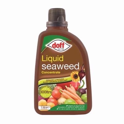 DOFF-LIQUID-SEAWEED-1-LTR-_DOFF_LIQUID_SEAWEED_CONCENTRATE_1L_.jpeg