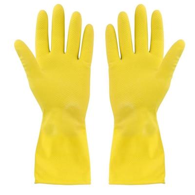 ELLIOTT-GLOVES-XL-LARGE-HOUSEHOLD-PK12_ELLIOTT_GLOVES_XL_LARGE_HOUSEHOLD_PK12_.jpeg