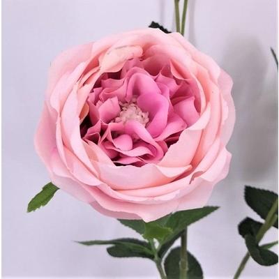 ENGLISH-ROSE-SPRAY-63CM-LIGHT-PINK_ENGLISH_ROSE_SPRAY_63CM_LIGHT_PINK_.jpeg