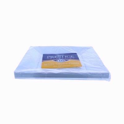 EURO-WHITE-SQUARE-9-5IN-10-PLATES_EURO_WHITE_SQUARE_9.5IN_10_PLATES_.jpeg