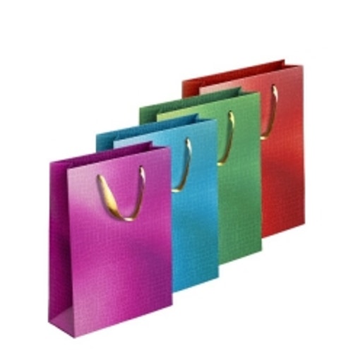 Embossed_Metallic_Gift_Bag_Large_1x12s_Single.jpeg