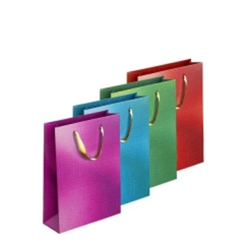 Embossed_Metallic_Gift_Bag_Medium_1x12s_Single.jpeg