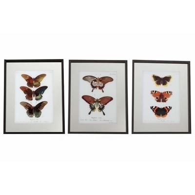 FRAME-WITH-BUTTERFLIES-50X40_FRAME_WITH_BUTTERFLIES_50X40_.jpeg