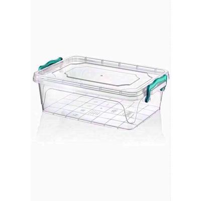 HOBBY-RECT-3-8LTR-FLAT-MULTI-BOX_HOBBY_RECT_3.8LTR_FLAT_MULTI_BOX_.jpeg