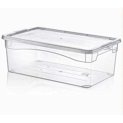 HOBBY-SHOE-BOX-LADIES_HOBBY_SHOE_BOX_LADIES_.jpeg
