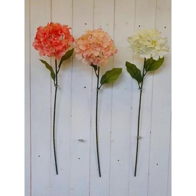 HYDRANGEA-STEM-CORAL-COLOURS_HYDRANGEA_STEM_CORAL_COLOURS_.jpeg