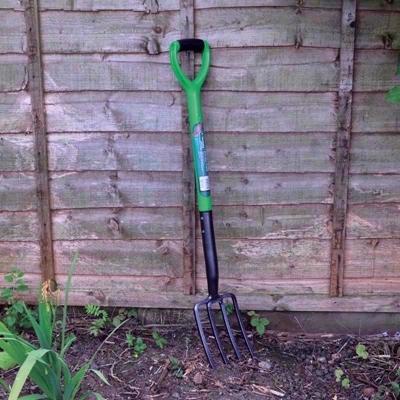 KINGFISHER-BORDER-FORK_KINGFISHER_BORDER_FORK_.jpeg