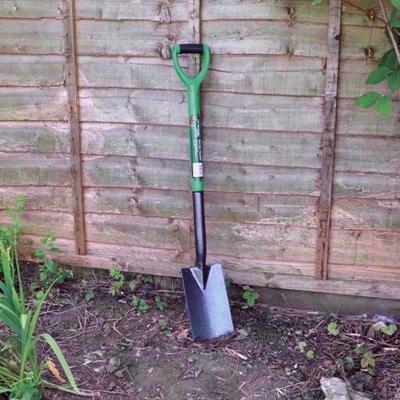 KINGFISHER-BORDER-SPADE_KINGFISHER_BORDER_SPADE_.jpeg