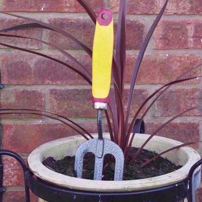 KINGFISHER-HAND-FORK_KINGFISHER_HAND_FORK_.jpeg