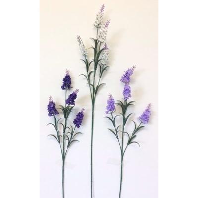 LAVENDER-SINGLE-STEM-ASS_LAVENDER_SINGLE_STEM_ASS_.jpeg