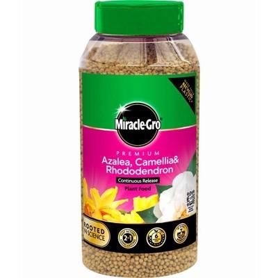 MIRACLE-GRO-ERICACEOUS-CONT-RELEASE-900GRAM_MIRACLE_GRO_ERICACEOUS_CONT_RELEASE_900GRAM_.jpeg