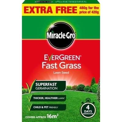 MIRACLE-GRO-EVERGREEN-FAST-GRASS-SEED-480G_MIRACLE_GRO_EVERGREEN_FAST_GRASS_SEED_480G_.jpeg