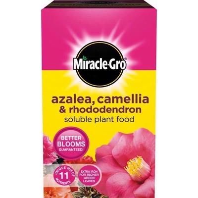 MIRACLE-GRO-SOLUBLE-ERICACEOUS-FOOD-500G_MIRACLE_GRO_SOLUBLE_ERICACEOUS_FOOD_500G_.jpeg