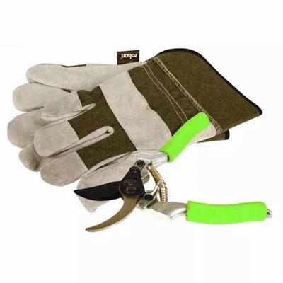 ROLSON-GARDEN-GLOVE-SECATEUR-SET_ROLSON_GARDEN_GLOVE_&_SECATEUR_SET_.jpeg