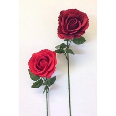 ROSE-SINGLE-STEM-ASS_ROSE_SINGLE_STEM_ASS_.jpeg