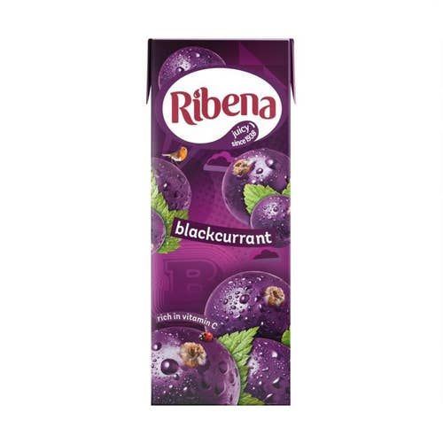 Ribena_Blackcurrant_24x250ml_Case_of_24.jpeg