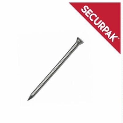 SECURPAK-PANEL-PINS-BRIGHT-25MM_SECURPAK_PANEL_PINS_BRIGHT_25MM_.jpeg