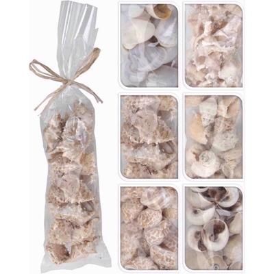 SHELLS-DECO-IN-BAG-ASSTD_SHELLS_DECO_IN_BAG_ASSORTED_.jpeg
