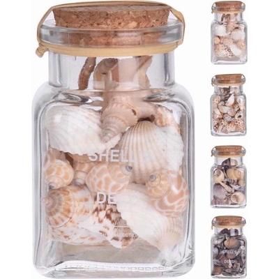 SHELLS-IN-GLASS-JAR-ASSTD_SHELLS_IN_GLASS_JAR_ASSTD_.jpeg