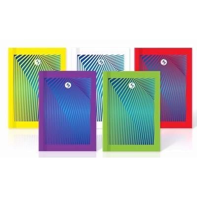 SILVINE-STRIPES-CASEBOUND-BOOK-A6-PK10_SILVINE_STRIPES_CASEBOUND_BOOK_A6_PK10_.jpeg