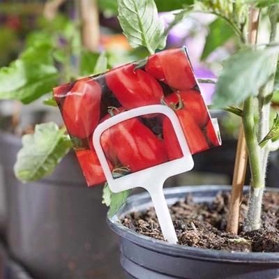 SMART-GARDEN-T-LABELS-PK10_SMART_GARDEN_T_LABELS_PK10_.jpeg