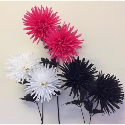 SPIKY-MUM-ASS-COLOURS-SINGLE-STEM_SPIKY_MUM_ASS_COLOURS_SINGLE_STEM_.jpeg