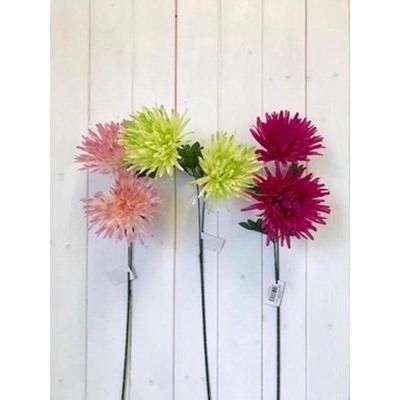 SPIKY-MUM-SINGLE-STEM-ASS-COLOURS_SPIKY_MUM_SINGLE_STEM_ASS_COLOURS_.jpeg