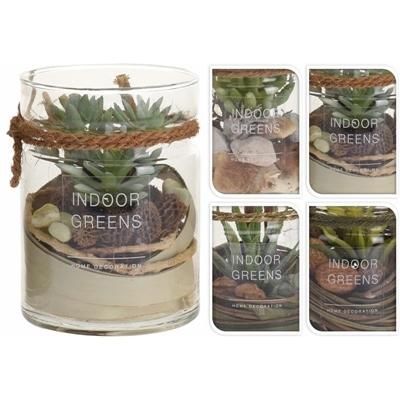SUCCULENT-PLANT-IN-GLASS-POT_SUCCULENT_PLANT_IN_GLASS_POT_.jpeg