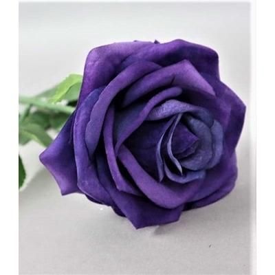 TEA-ROSE-SINGLE-STEM-PURPLE_TEA_ROSE_SINGLE_STEM_PURPLE_.jpeg