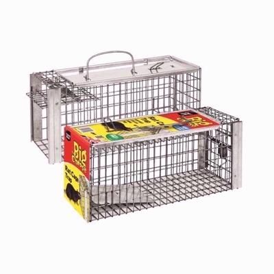 THE-BIG-CHEESE-RAT-CAGE-TRAP_THE_BIG_CHEESE_RAT_CAGE_TRAP_.jpeg