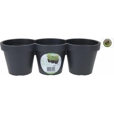 TRIO-FLOWER-POT-39CM-BLACK_TRIO_FLOWER_POT_39CM_BLACK_.jpeg