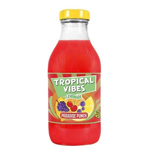 Tropical_Vibes_Paradise_Punch_Lemonade_15x300ml_Case_of_15.jpeg