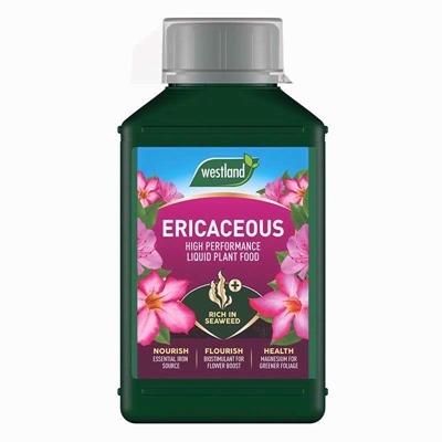 WESTLAND-ERICACEOUS-LIQUID-FEED-1LTR_WESTLAND_ERICACEOUS_LIQUID_FEED_1LTR_.jpeg