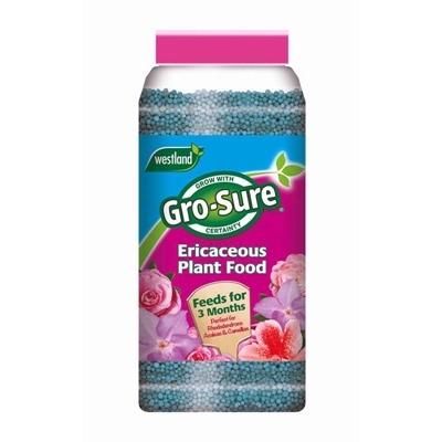 WESTLAND-ERICACEOUS-PLANT-FOOD-GRANUALES-900G_WESTLAND_ERICACEOUS_PLANT_FOOD_GRANUALES_900G_.jpeg