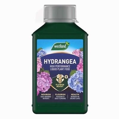 WESTLAND-HYDRANGEA-LIQUID-FEED-1LTR_WESTLAND_HYDRANGEA_LIQUID_FEED_1LTR_.jpeg