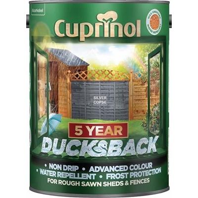 cuprinol-ducksback-silver-copse-5l_CUPRINOL_DUCKSBACK_SILVER_COPSE_5L_.jpeg