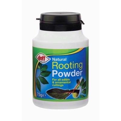 doff-rooting-powder-75gram_DOFF_ROOTING_POWDER_75G_.jpeg