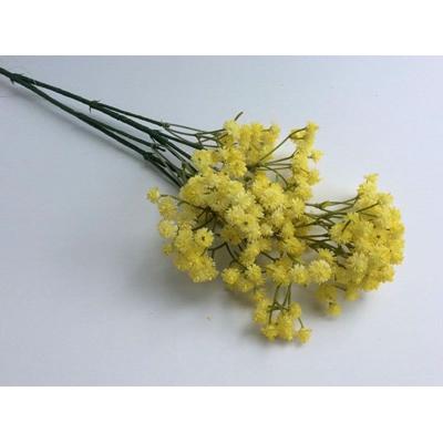 japanese-blossoms-yellow_JAPANESE_BLOSSOMS_YELLOW_.jpeg