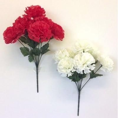 rose-carnation-bush-red-cream-mix_ROSE_CARNATION_BUSH_RED_CREAM_MIX_.jpeg