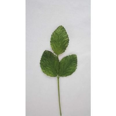 rose-leaf-pick-x6_ROSE_LEAF_PICK_X6_.jpeg
