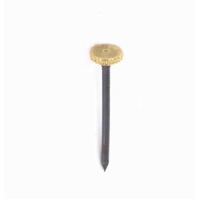 securit-brass-headed-picture-pins-pk6_SECURIT_BRASS_HEADED_PICTURE_PINS_PK6_.jpeg