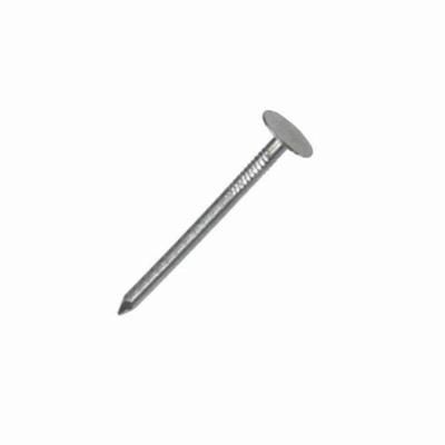 securit-clout-nails-galvanised-25mm_SECURIT_CLOUT_NAILS_GALVANISED_25MM_.jpeg