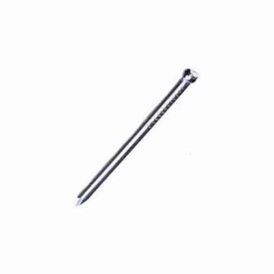 securit-masonry-nails-2-5mm50mm_SECURIT_MASONRY_NAILS_2.5MM50MM_.jpeg