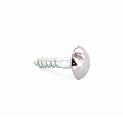 securit-mirror-screws-chrome-head-50mm_SECURIT_MIRROR_SCREWS_CHROME_HEAD_50MM_.jpeg