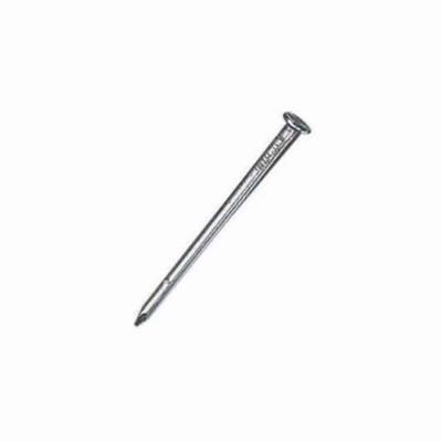 securit-round-nails-bright-2-00mm25mm_SECURIT_ROUND_NAILS_BRIGHT_2.00MM25MM_.jpeg